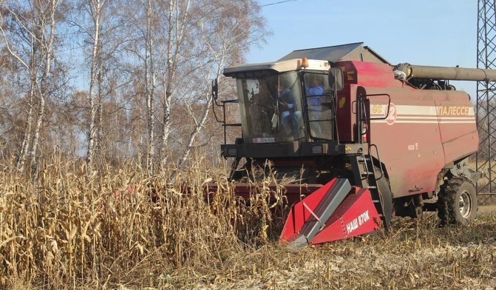 Фото из архива редакции