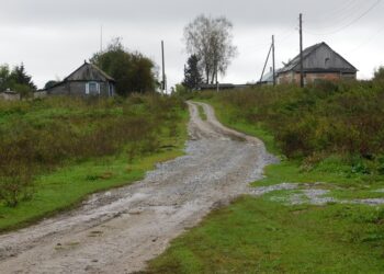 Пасмурно будет большую часть недели. Фото Анны Зубаревой