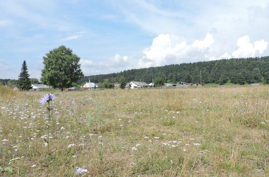 Село Усть-Чем . Фото Анны Зубаревой