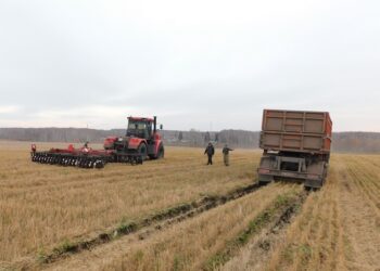 Техника тонет в полях. Фото Анны Зубаревой