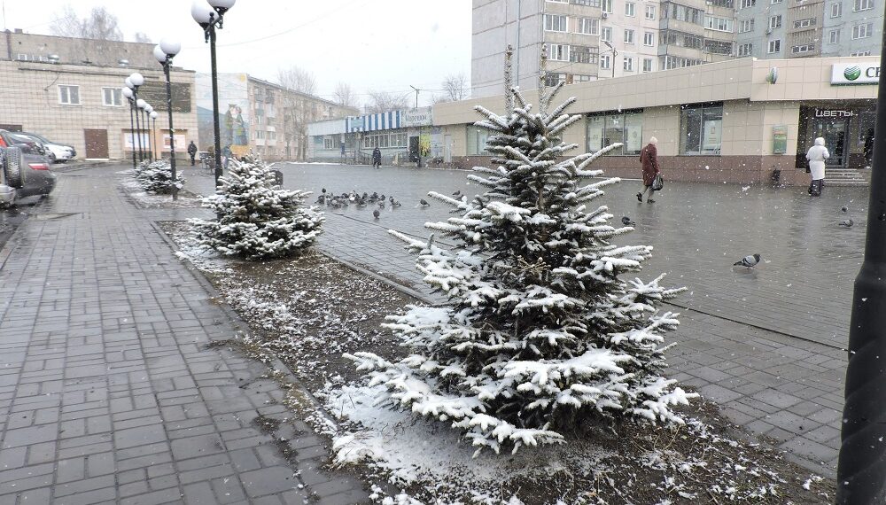 Мокрый снег прогнозируют в первой половине недели. Фото Анны Зубаревой