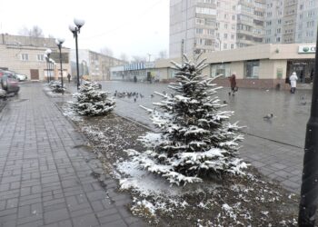 Мокрый снег прогнозируют в первой половине недели. Фото Анны Зубаревой