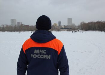 Фото ГУ МЧС России по Новосибирской области