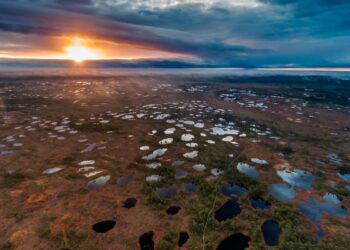 Фото дзен.ру