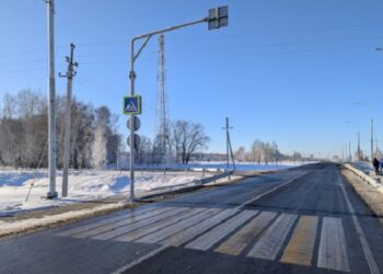 Фотография пресс-службы правительства Новосибирской области