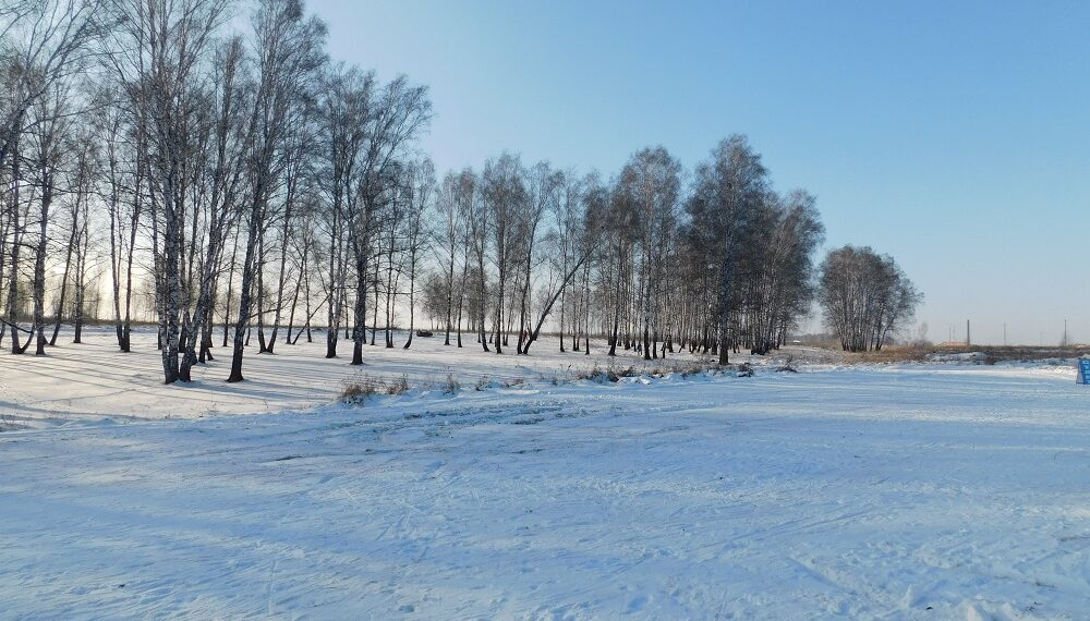 Солнечных дней в первую неделю декабря практически не будет. Фото Анны Зубаревой