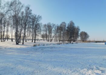 Солнечных дней в первую неделю декабря практически не будет. Фото Анны Зубаревой