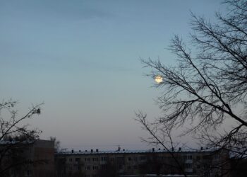 Полная луна на утреннем небе понедельника. Фото Анны Зубаревой