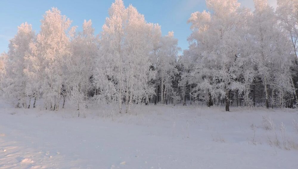 Фото Анны Зубаревой