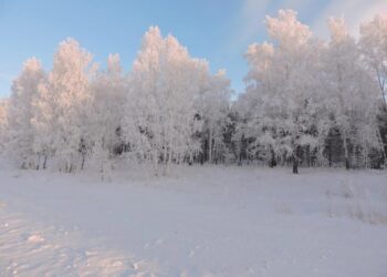 Фото Анны Зубаревой