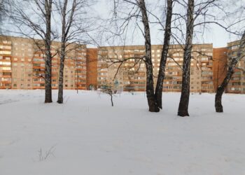 Снег обещают в течение всей недели. Фото Анны Зубаревой.