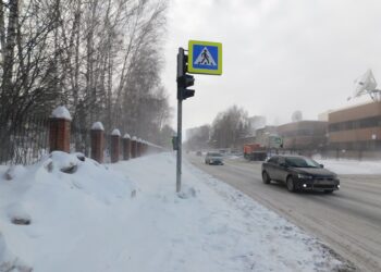 Снег на неделе будет идти практически каждый ден. Фото Анны Зубаревой