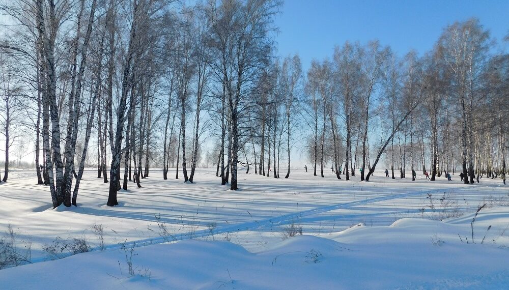 Ясную погоду обещают в последние дни февраля. Фото Анны Зубаревой