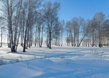 Ясную погоду обещают в последние дни февраля. Фото Анны Зубаревой