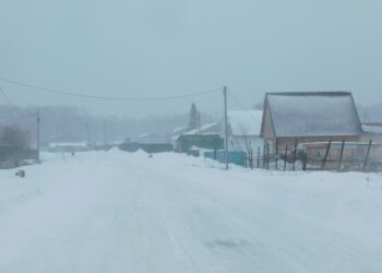 В воскресенье обещают снег. Фото Анны Зубаревой