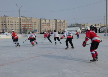 Играют команды Линево и Лебедевки. Фото Анны Зубаревой