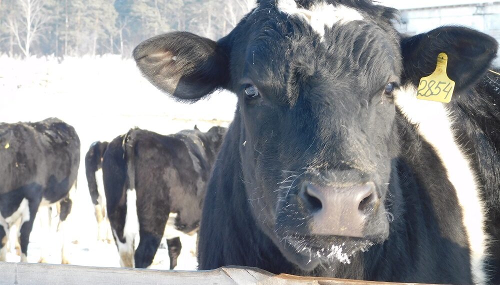 Фото из архива редакции, носит иллюстративный характер