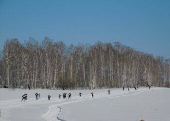 В воскресенье, 16 марта в Искитимском районе состоялся лыжный переход. К концу этой недели снег, скорее всего, уже растает. Фото Анны Зубаревой