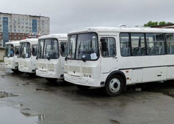 Фото пресс-службы администрации Искитима