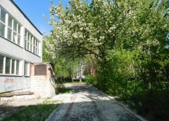 Пусть в мае будет снег только из белых лепестков. Фото Анны Зубаревой