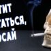 Фото ВКонтакте