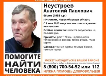 Ориентировки отряда "ЛизаАлерт"