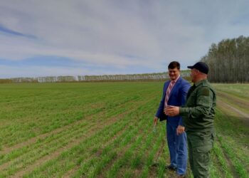 Фото Натальи Кривякиной