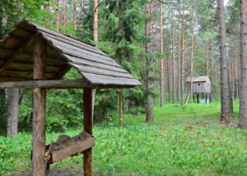 Фото сайта burobiz.ru