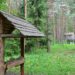 Фото сайта burobiz.ru