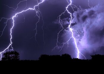 Фото ru.freepik.com