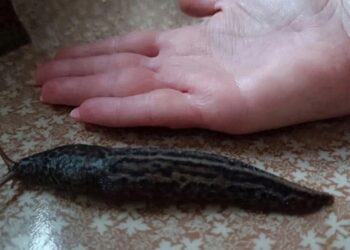 Фото паблика Подслушано в Барабинске
