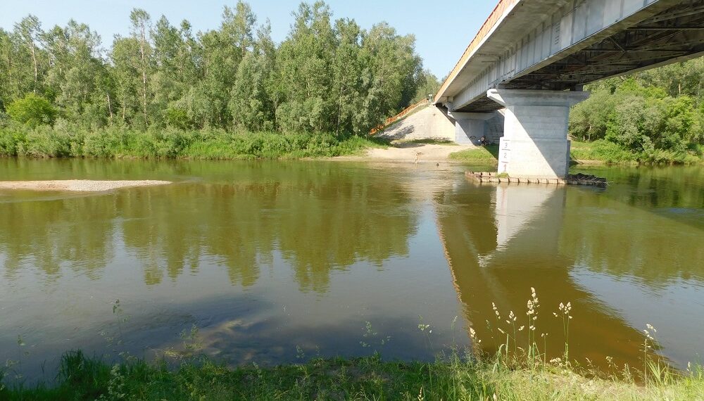 Река Бердь. Фото из архива редакции