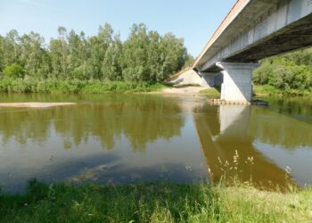 Река Бердь. Фото из архива редакции