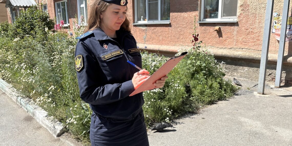 Фото пресс-службы ГУ ФССП РФ по НСО