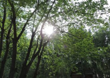 По народным приметам, в День Петра и Павла солнце играет особенными цветами, переливается и искрится, как радуга. Фото из архива редакции.