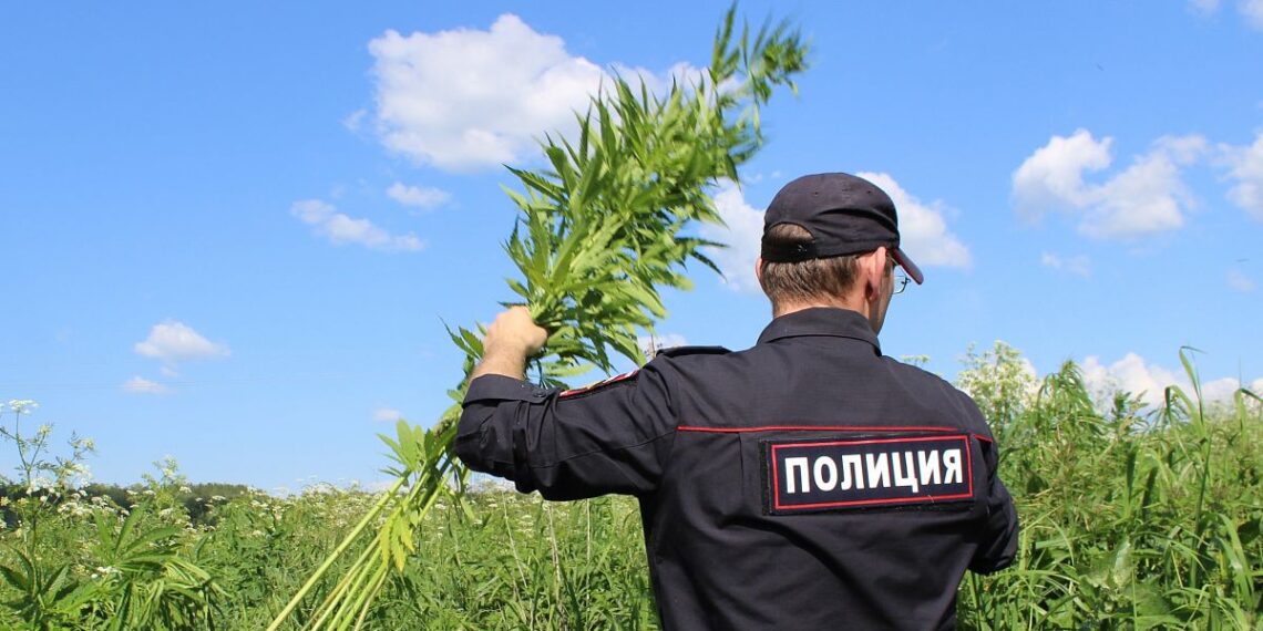 Фото МО МВД РФ "Искитимский"