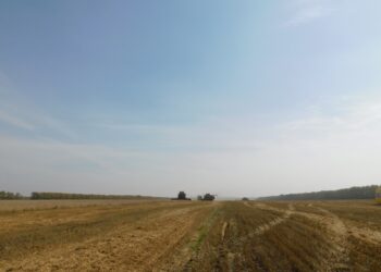 Фотография Анны Зубаревой