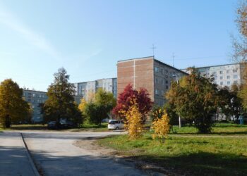 Линево. Фото Анны Зубаревой