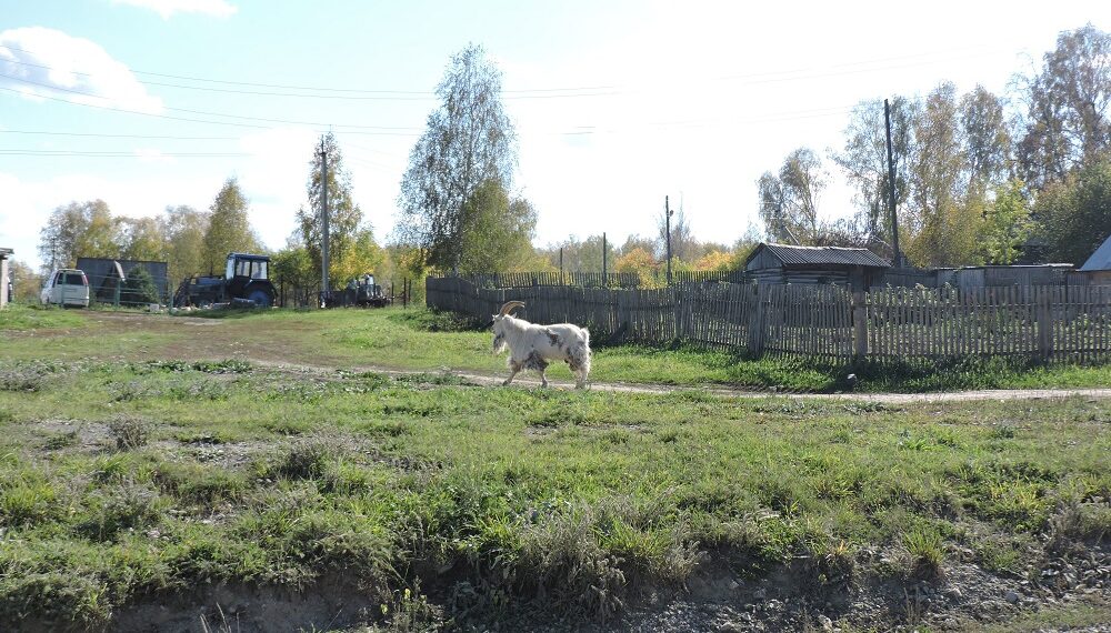 Теплую погоду обещают на этой неделе. Фото Анны Зубаревой