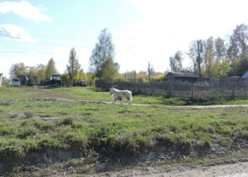 Теплую погоду обещают на этой неделе. Фото Анны Зубаревой