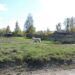 Теплую погоду обещают на этой неделе. Фото Анны Зубаревой