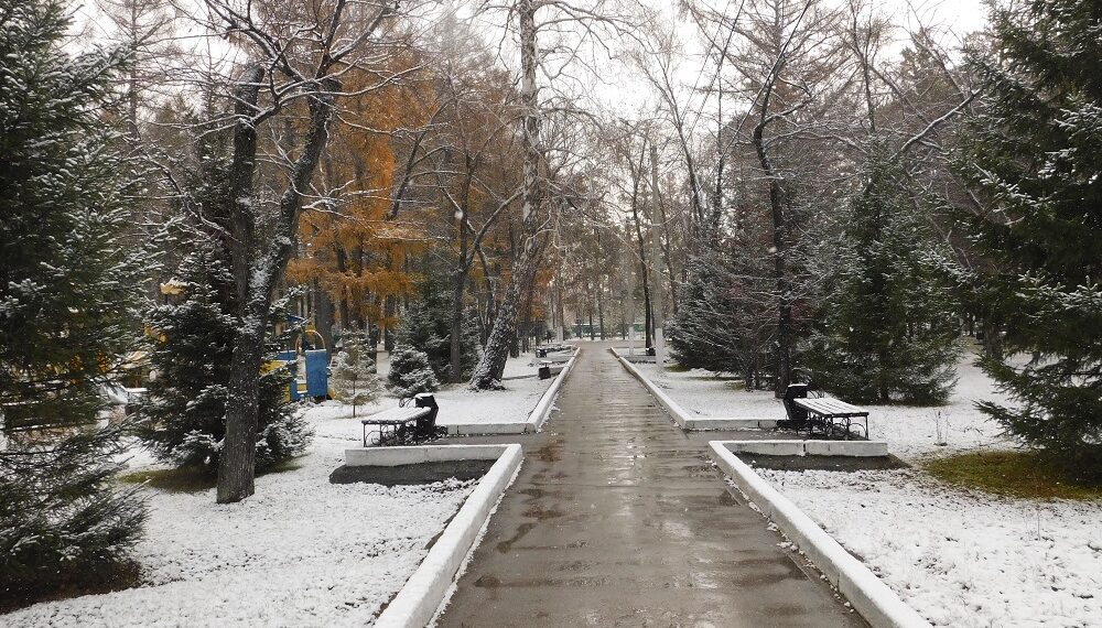 Снег. Фото Анны Зубаревой