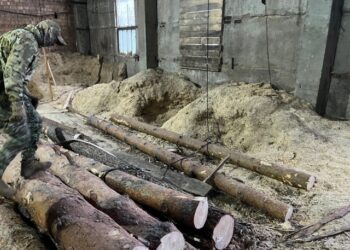 Фотография пресс-службы Суды общей юрисдикции Новосибирской области