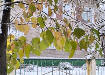 Снег в начале октября. Фото Анны Зубаревой