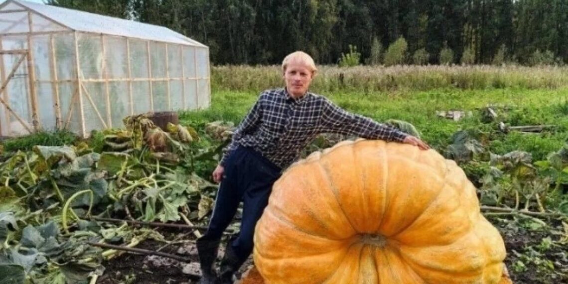 Фотографию предоставил Артем Ломакин изданию vn.ru