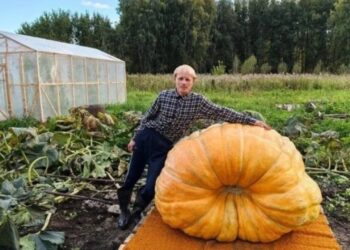 Фотографию предоставил Артем Ломакин изданию vn.ru