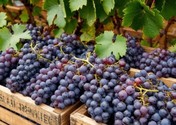 Изображение сгенерировано нейросетью Шедеврум