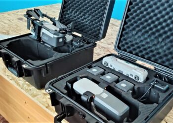 Фотография пресс-службы министерства природных ресурсов и экологии Новосибирской области