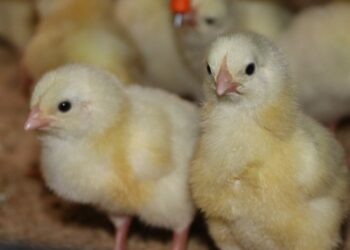 Фото из архива редакции