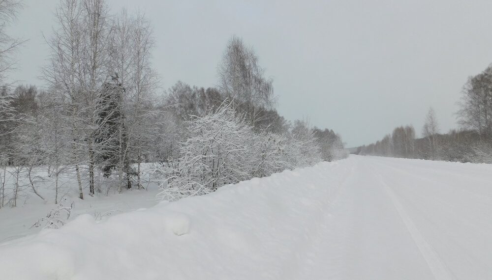Фото Анны Зубаревой